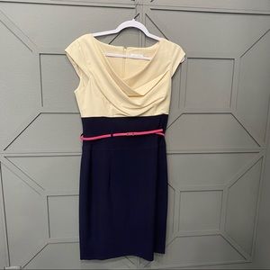 Calvin Klein Two-Tone Dress in Size 6